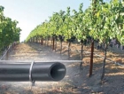 Drip irrigation and nets for vineyards