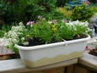 Selfwatering box Mareta without holder